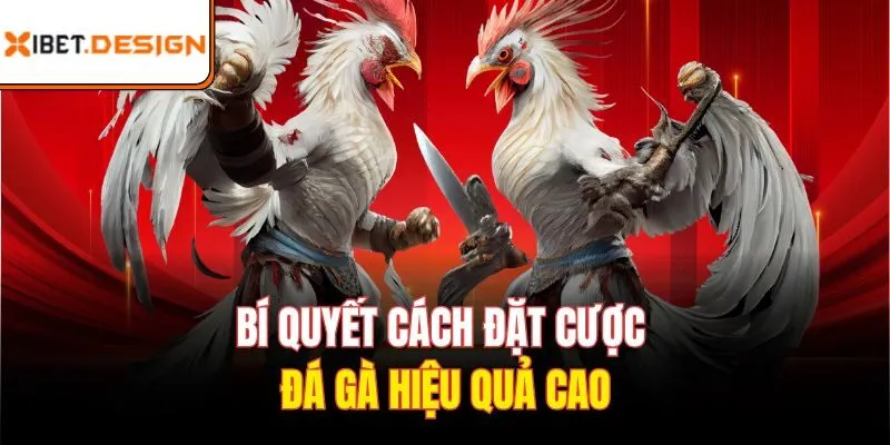 Bí quyết cách đặt cược đá gà hiệu quả cao