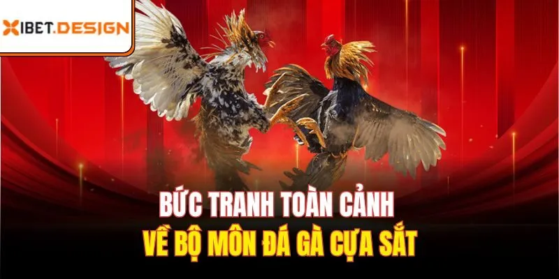 Bức tranh toàn cảnh về bộ môn đá gà cựa sắt