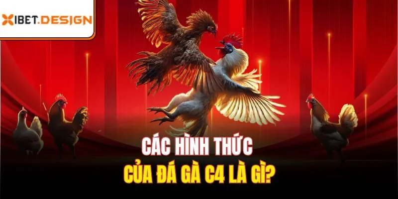 Các hình thức của Đá gà C4 là gì?