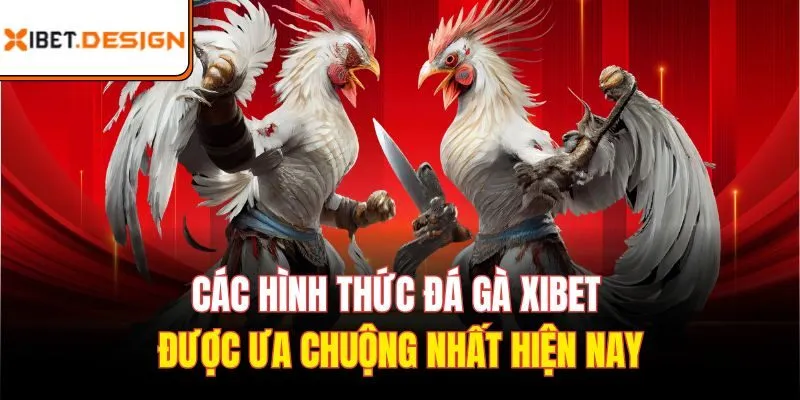 Các hình thức đá gà xibet được ưa chuộng nhất hiện nay