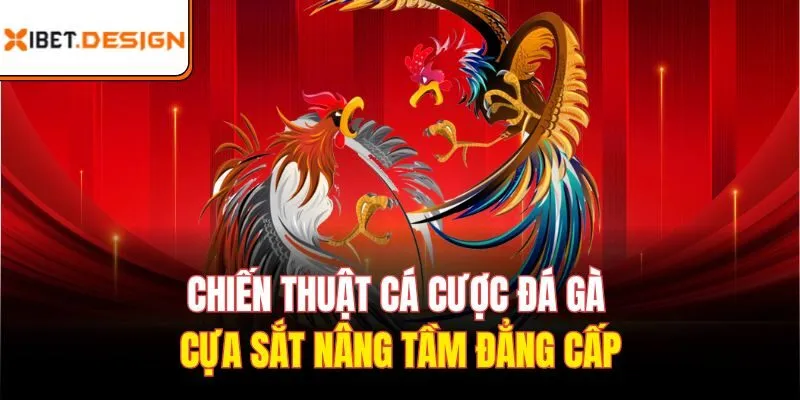 Chiến thuật cá cược đá gà cựa sắt nâng tầm đẳng cấp