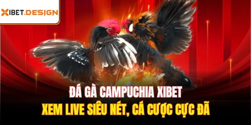 Đá gà Campuchia