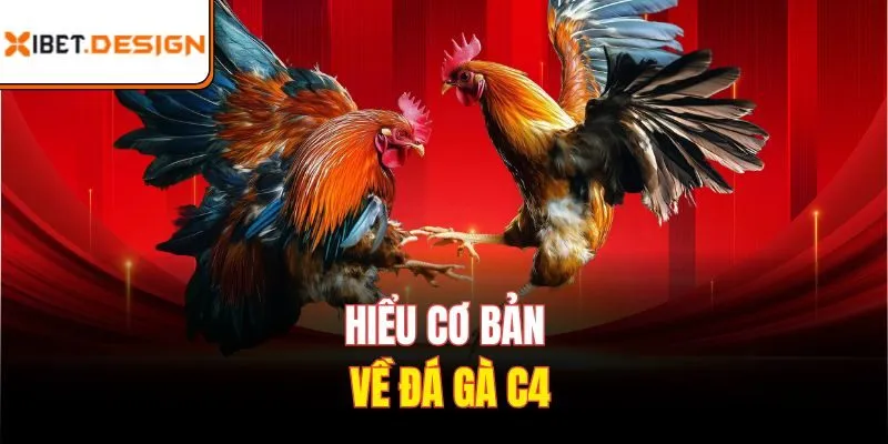 Hiểu cơ bản về Đá gà C4