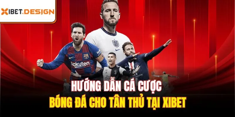 hướng dẫn cá cược bóng đá