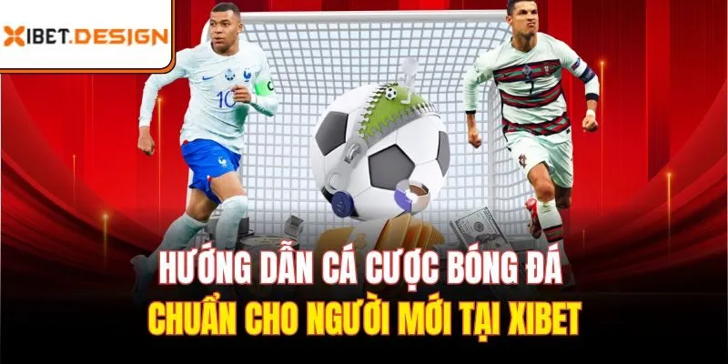 Hướng dẫn cá cược bóng đá cho tân thủ tại Xibet