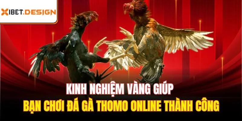 Kinh nghiệm vàng giúp bạn chơi Đá gà Thomo online thành công