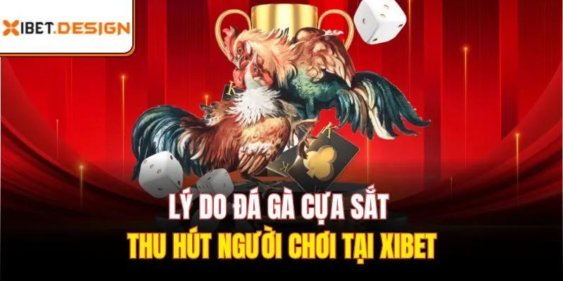 Top kèo cược nhất định phải thử khi đá gà cựa sắt tại Xibet