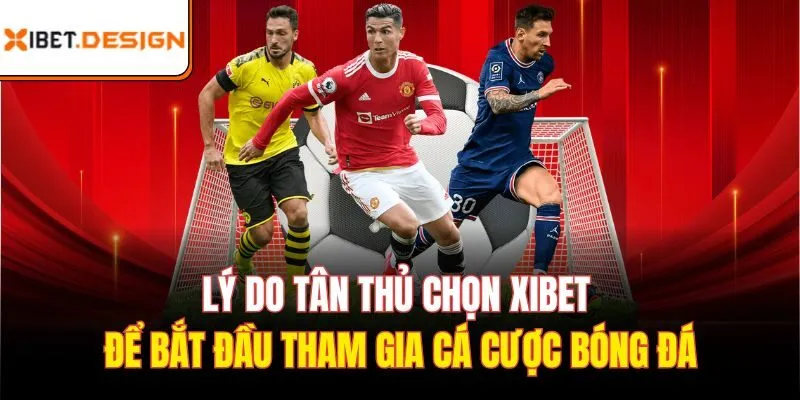 Lý do tân thủ chọn Xibet để bắt đầu tham gia cá cược bóng đá