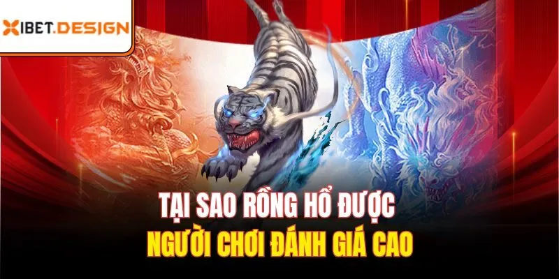Tại sao rồng hổ được người chơi đánh giá cao