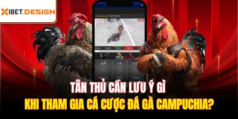 Tân thủ cần lưu ý gì khi tham gia cá cược Đá gà Campuchia?