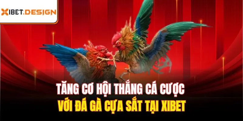 đá gà cựa sắt