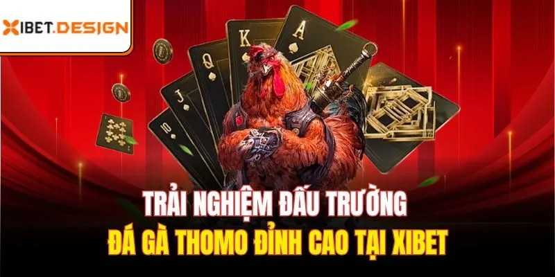 Đá gà Thomo