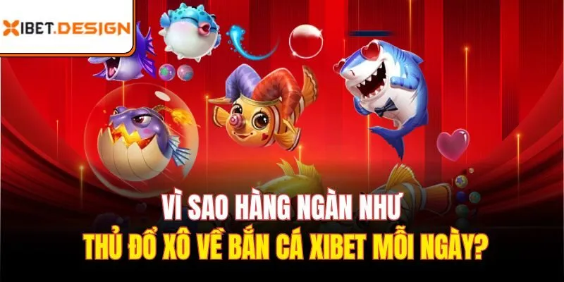 Vì sao hàng ngàn ngư thủ đổ về bắn cá xibet mỗi ngày?