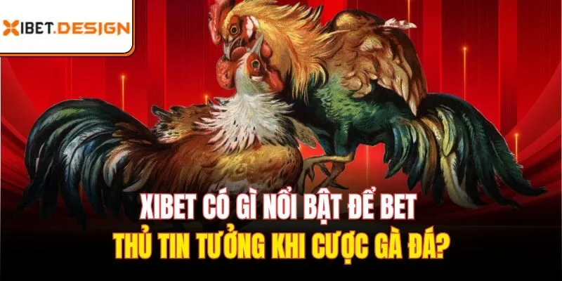 Xibet có gì nổi bật để bet thủ tin tưởng khi cược gà đá?